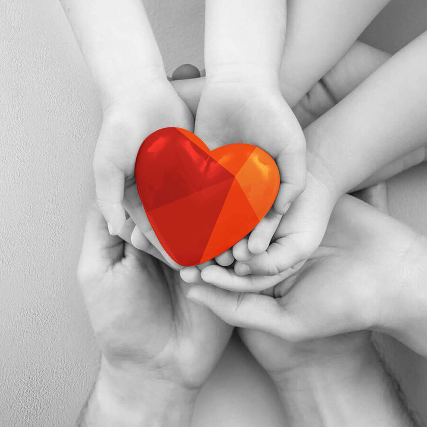 cuore Corporate social responsibility